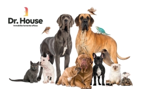 Ley de Bienestar Animal